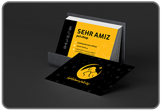 گرافیک اختصاصی طراحی کارت ویزیت