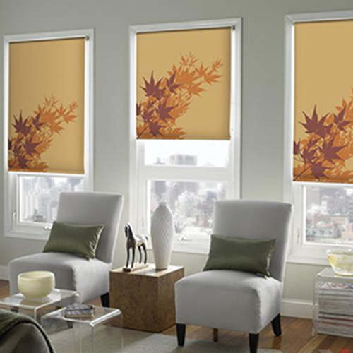 پرده شید رول