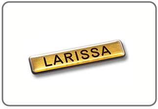 هدایای تبلیغاتی _ بچ سینه